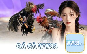 Đá Gà WW88