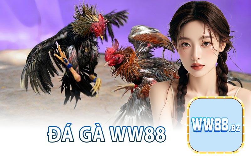 Đá Gà WW88