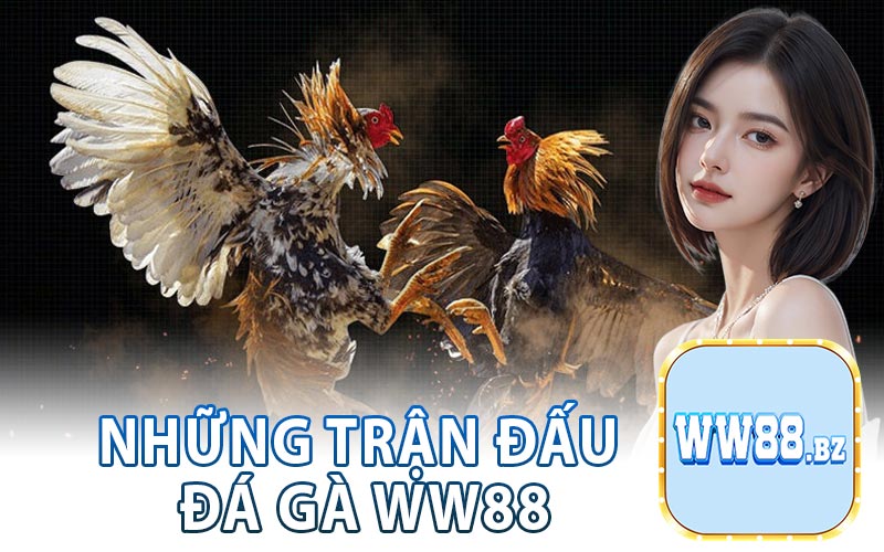 Những Trận Đấu Đá Gà WW88